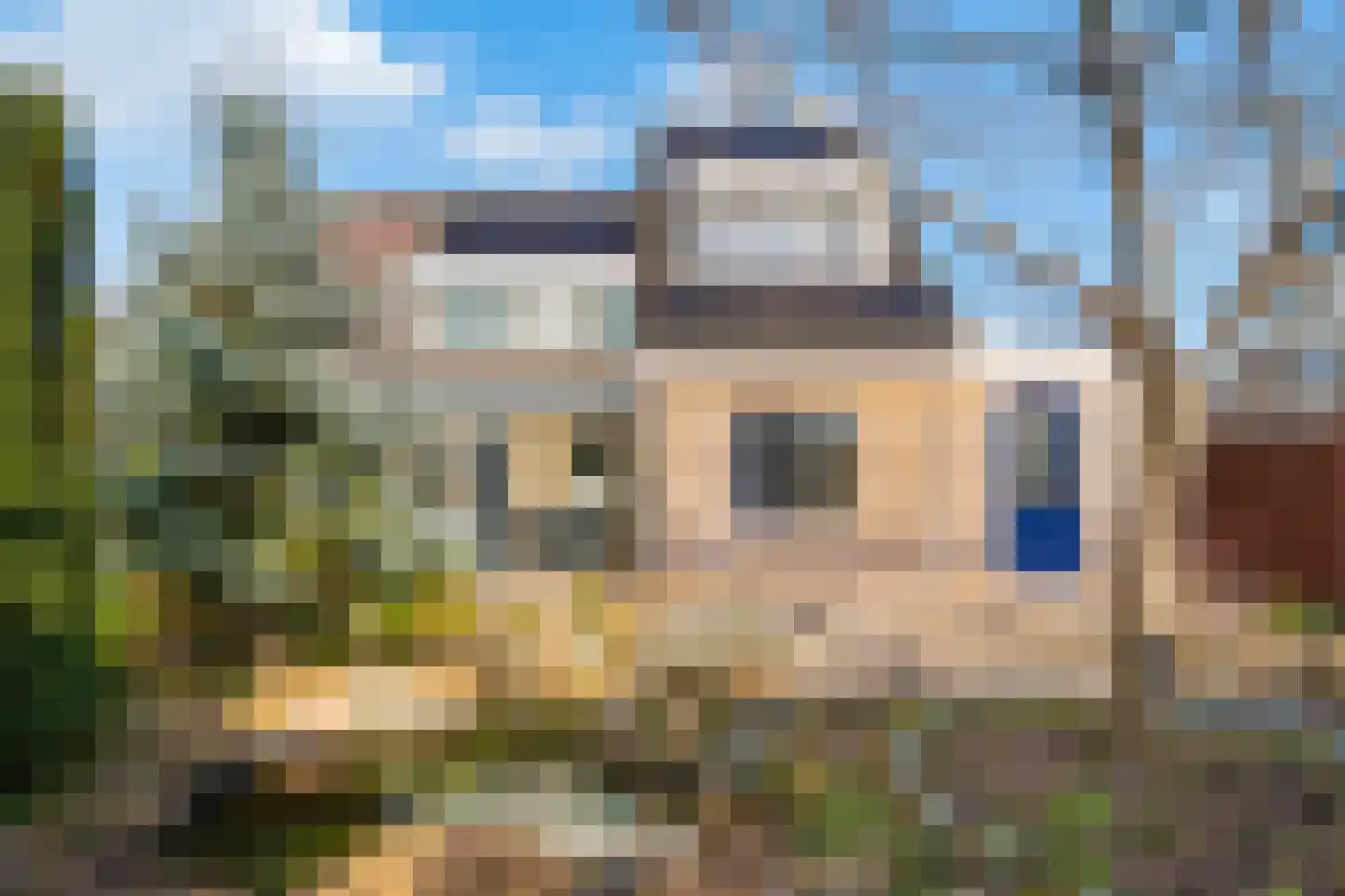 Havikskruid 4 Swifterbant thumbnail 42