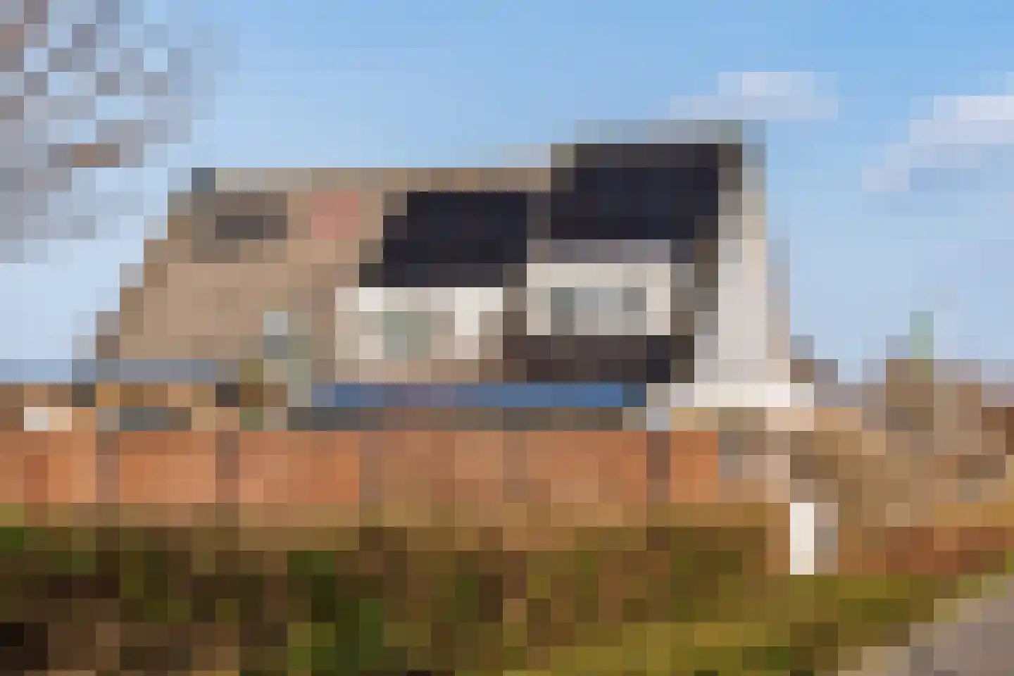 Havikskruid 4 Swifterbant thumbnail 43