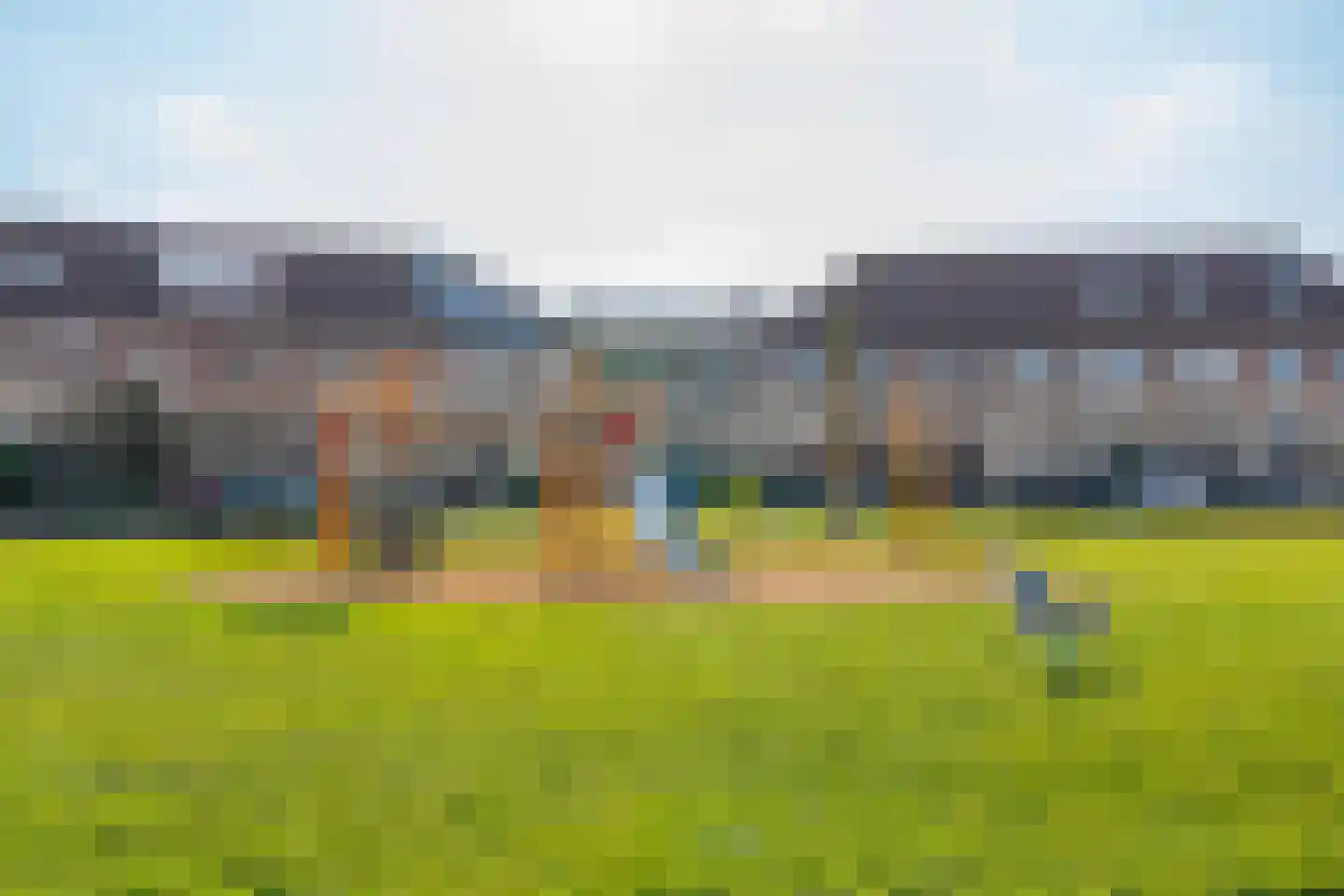 Havikskruid 4 Swifterbant thumbnail 44