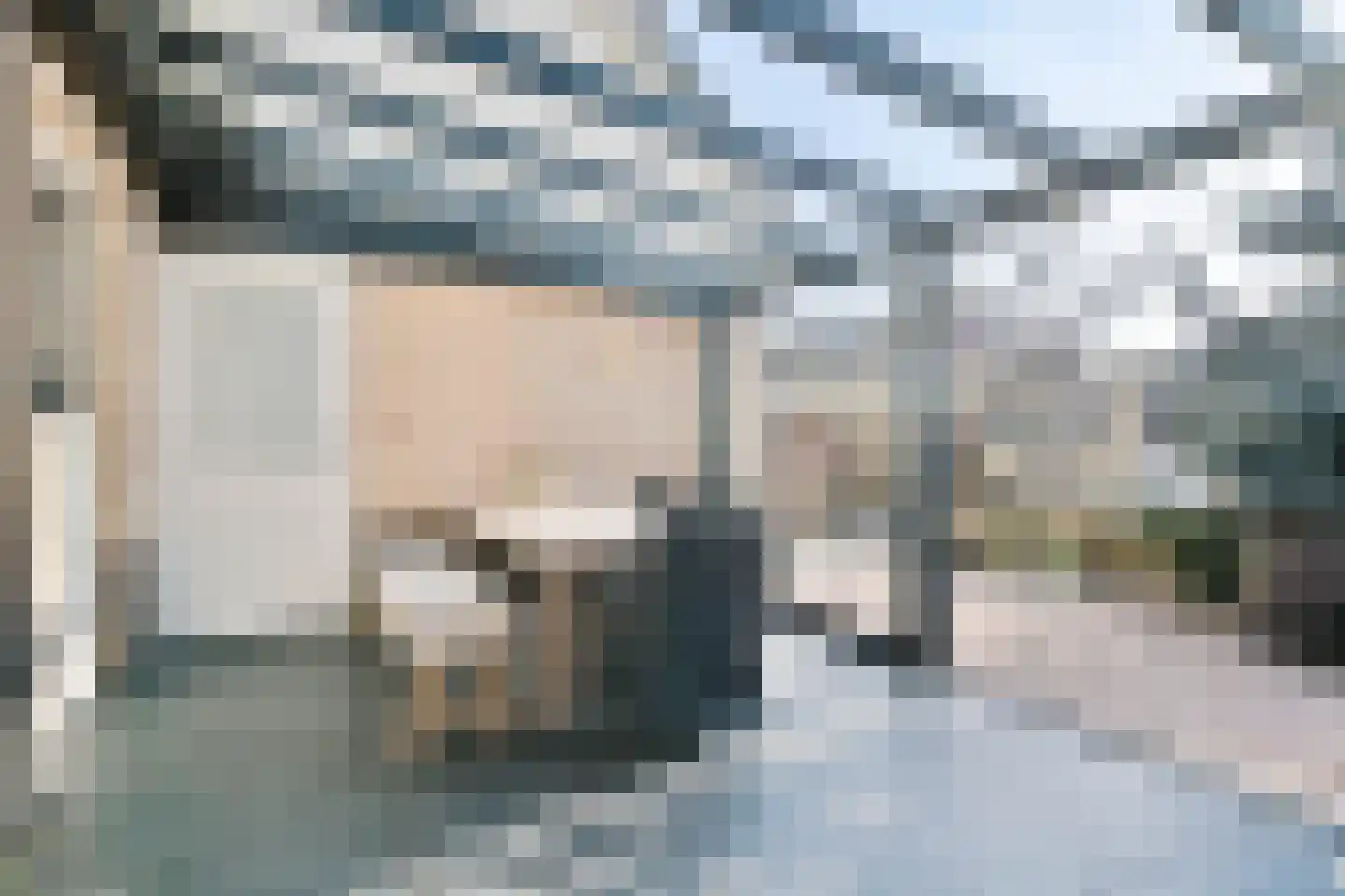 Havikskruid 4 Swifterbant thumbnail 5