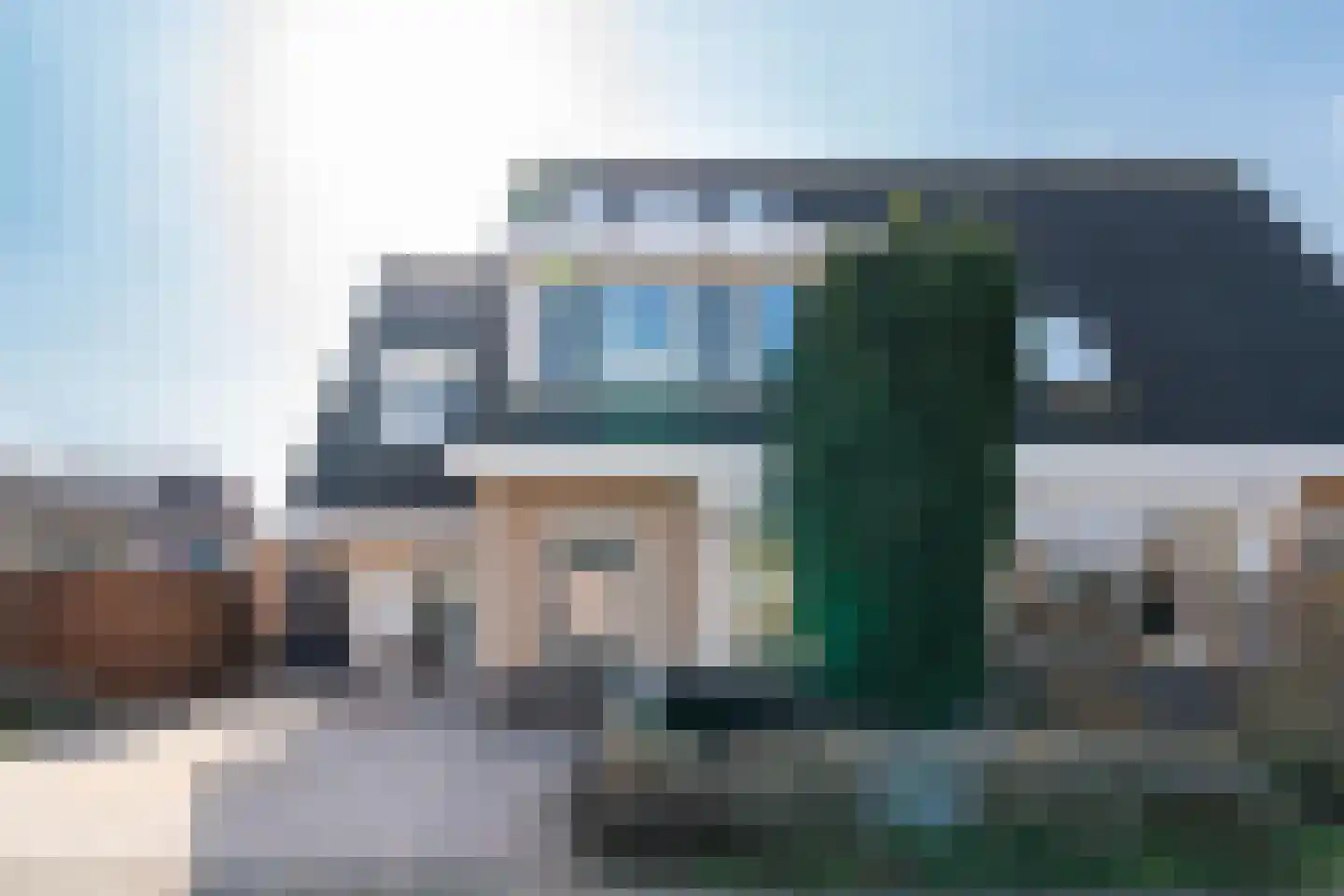 Havikskruid 4 Swifterbant thumbnail 6