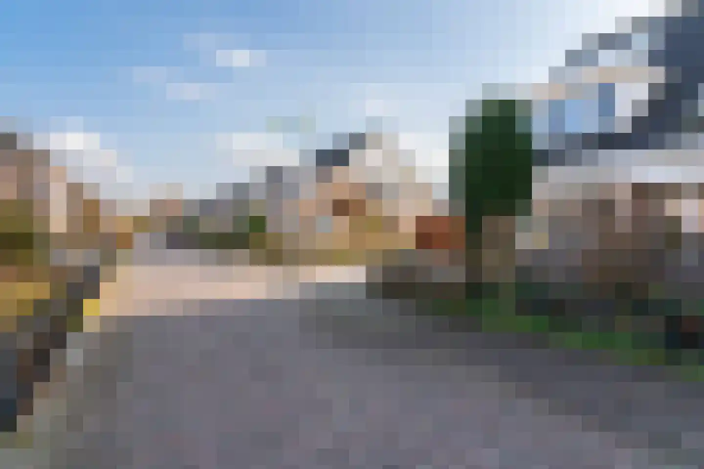 Havikskruid 4 Swifterbant thumbnail 7