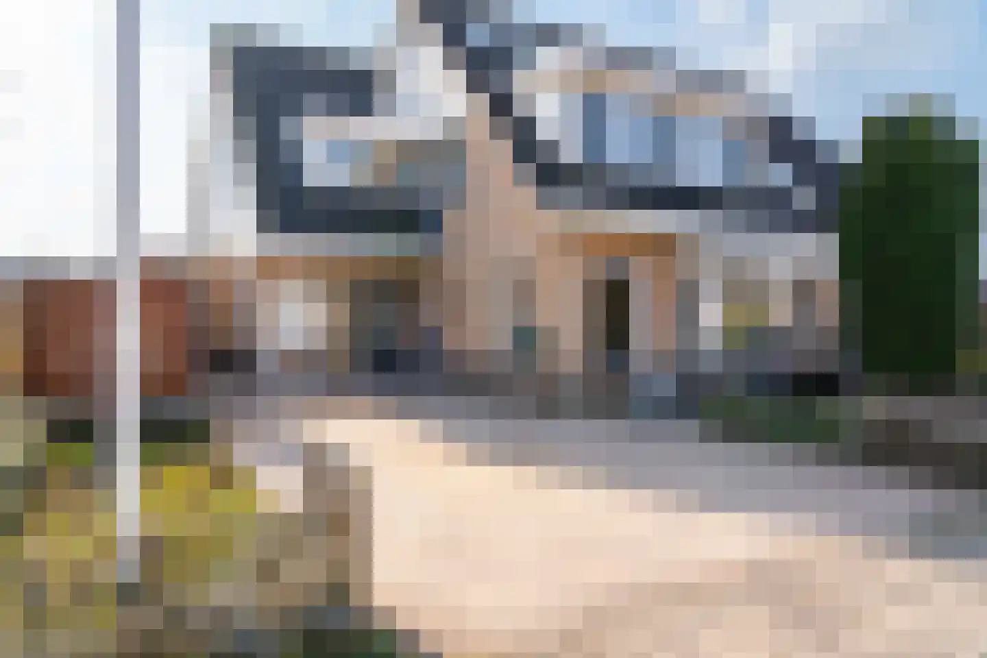 Havikskruid 4 Swifterbant thumbnail 8