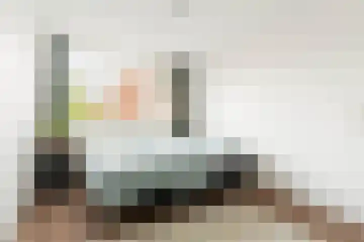 Havikskruid 41 Diemen thumbnail 11