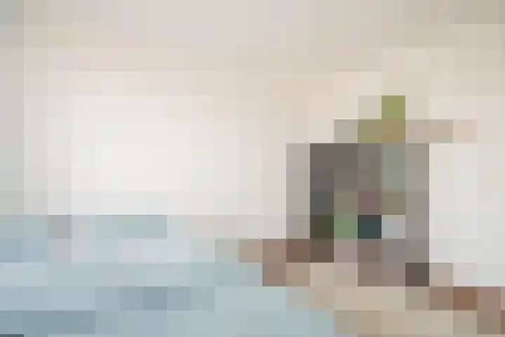 Havikskruid 41 Diemen thumbnail 12
