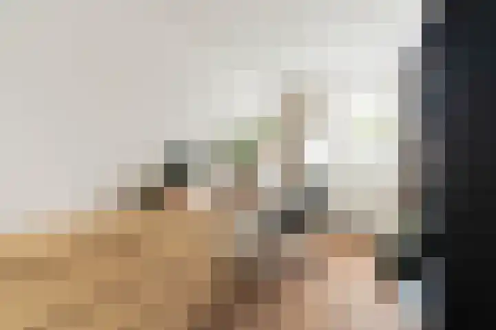 Havikskruid 41 Diemen thumbnail 13