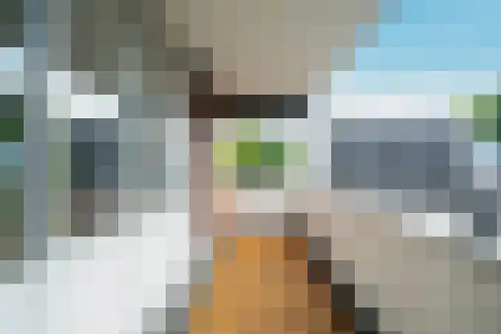 Havikskruid 41 Diemen thumbnail 17