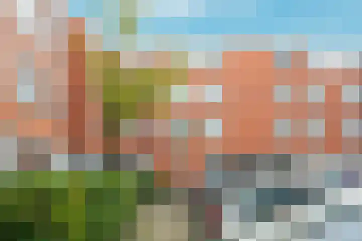 Havikskruid 41 Diemen thumbnail 19