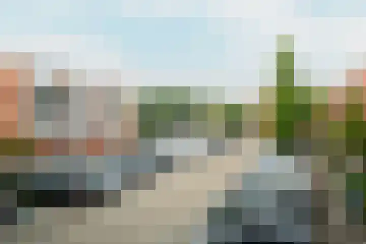 Havikskruid 41 Diemen thumbnail 20