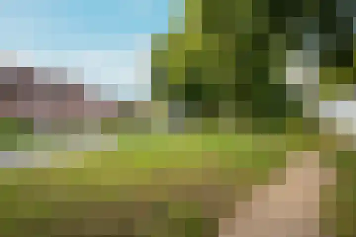 Havikskruid 41 Diemen thumbnail 21