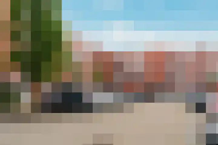 Havikskruid 41 Diemen thumbnail 27