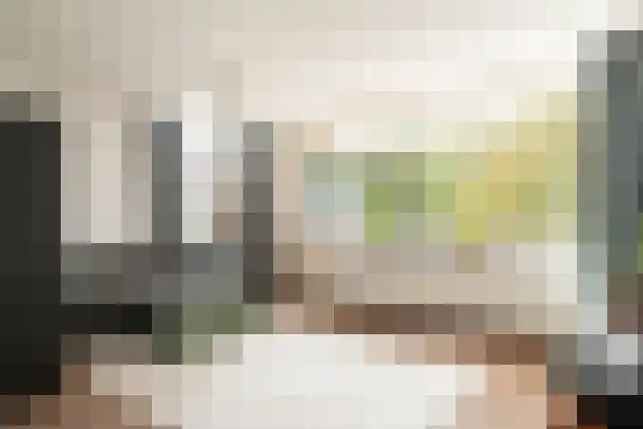 Havikskruid 41 Diemen thumbnail 4