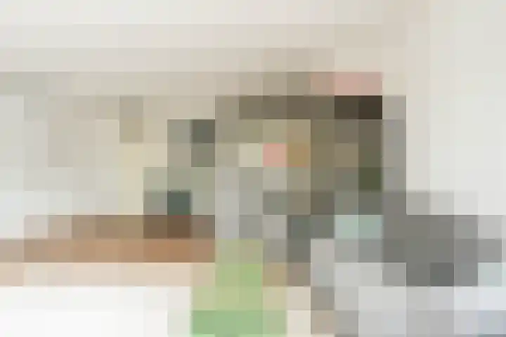 Havikskruid 41 Diemen thumbnail 8