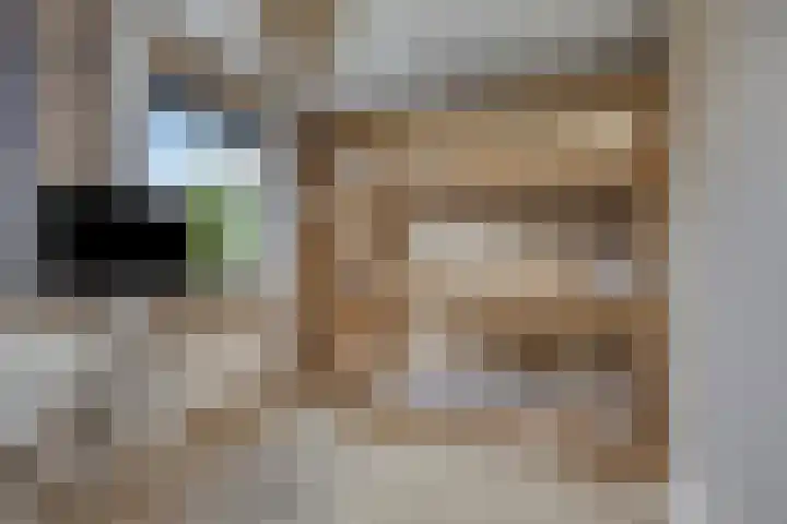 Havikskruid 43 Berghem thumbnail 14