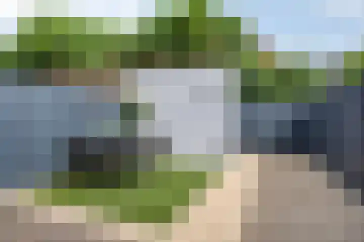 Havikskruid 43 Berghem thumbnail 20