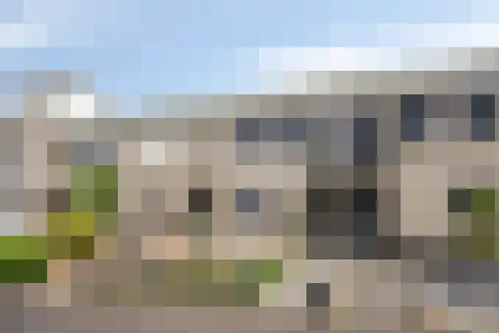 Havikskruid 43 Berghem thumbnail 23