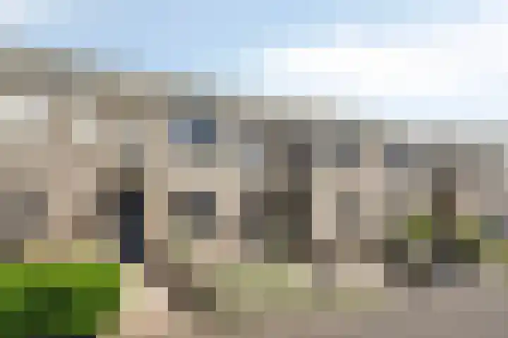 Havikskruid 43 Berghem thumbnail 24