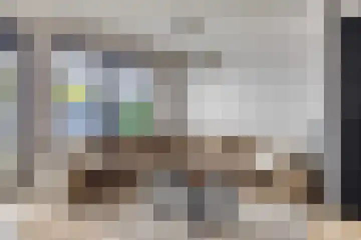 Havikskruid 43 Berghem thumbnail 4