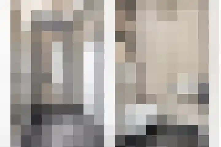 Havikskruid 43 Berghem thumbnail 8