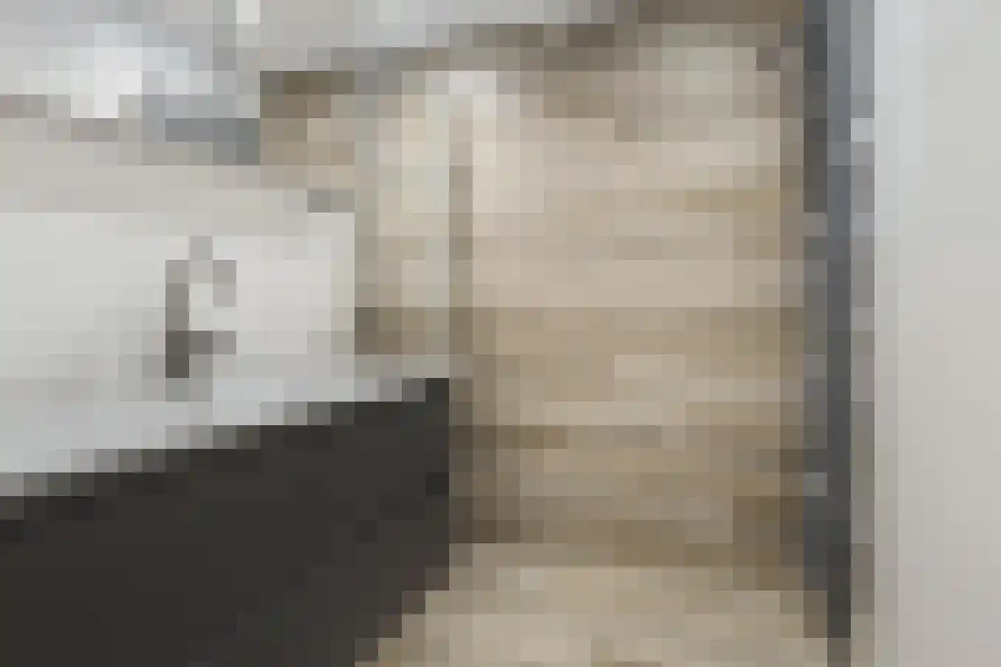 Havikskruid 46 Kampen thumbnail 13