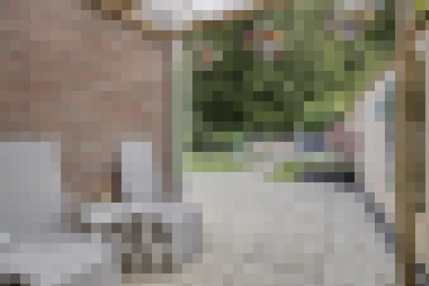 Havikskruid 46 Kampen thumbnail 19