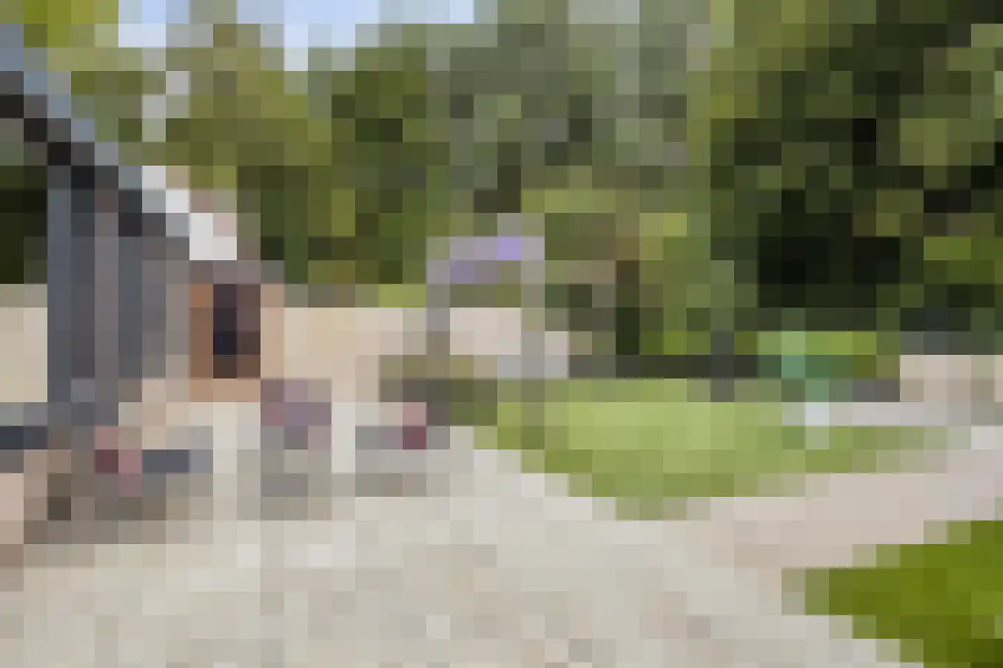 Havikskruid 46 Kampen thumbnail 23