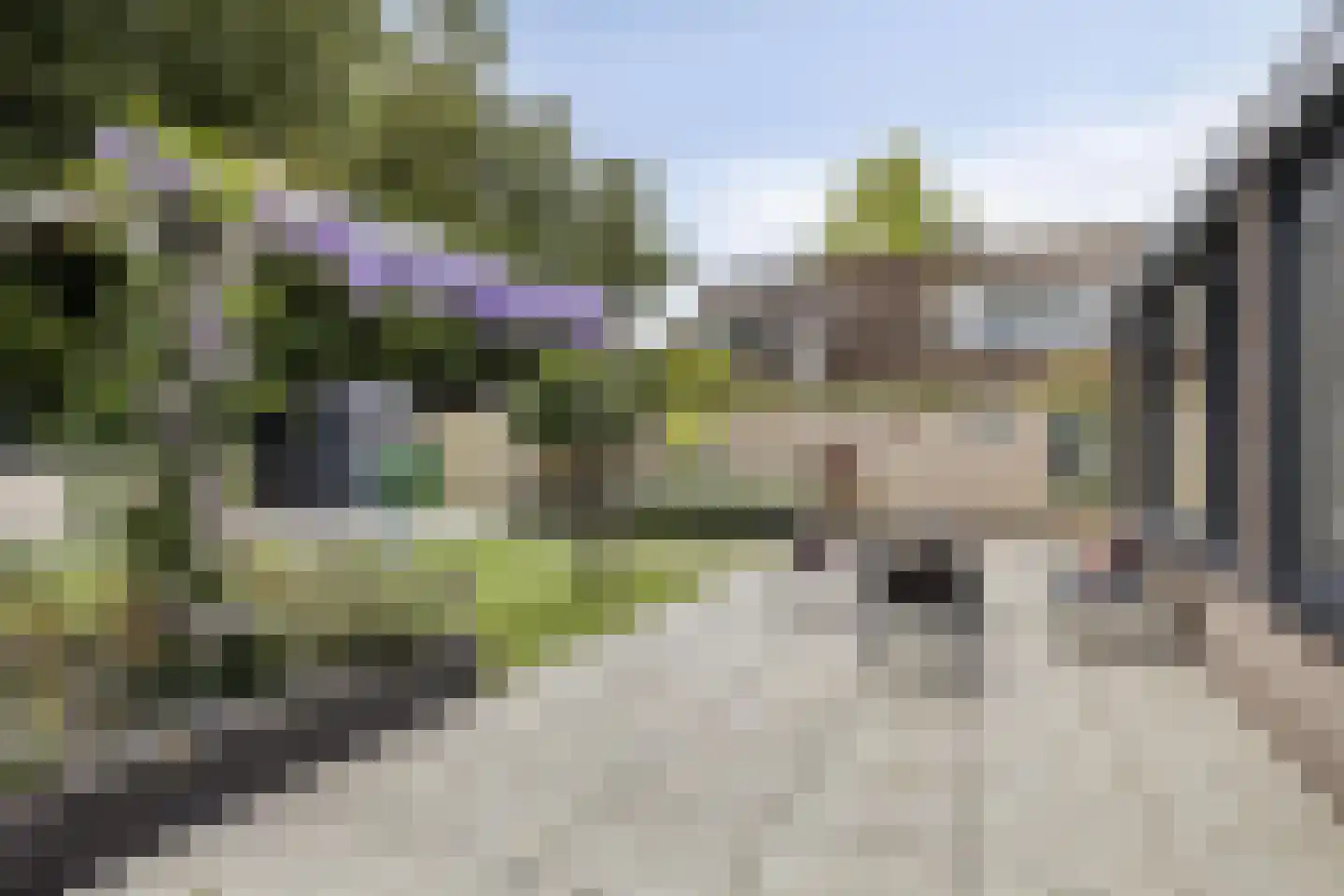 Havikskruid 46 Kampen thumbnail 24