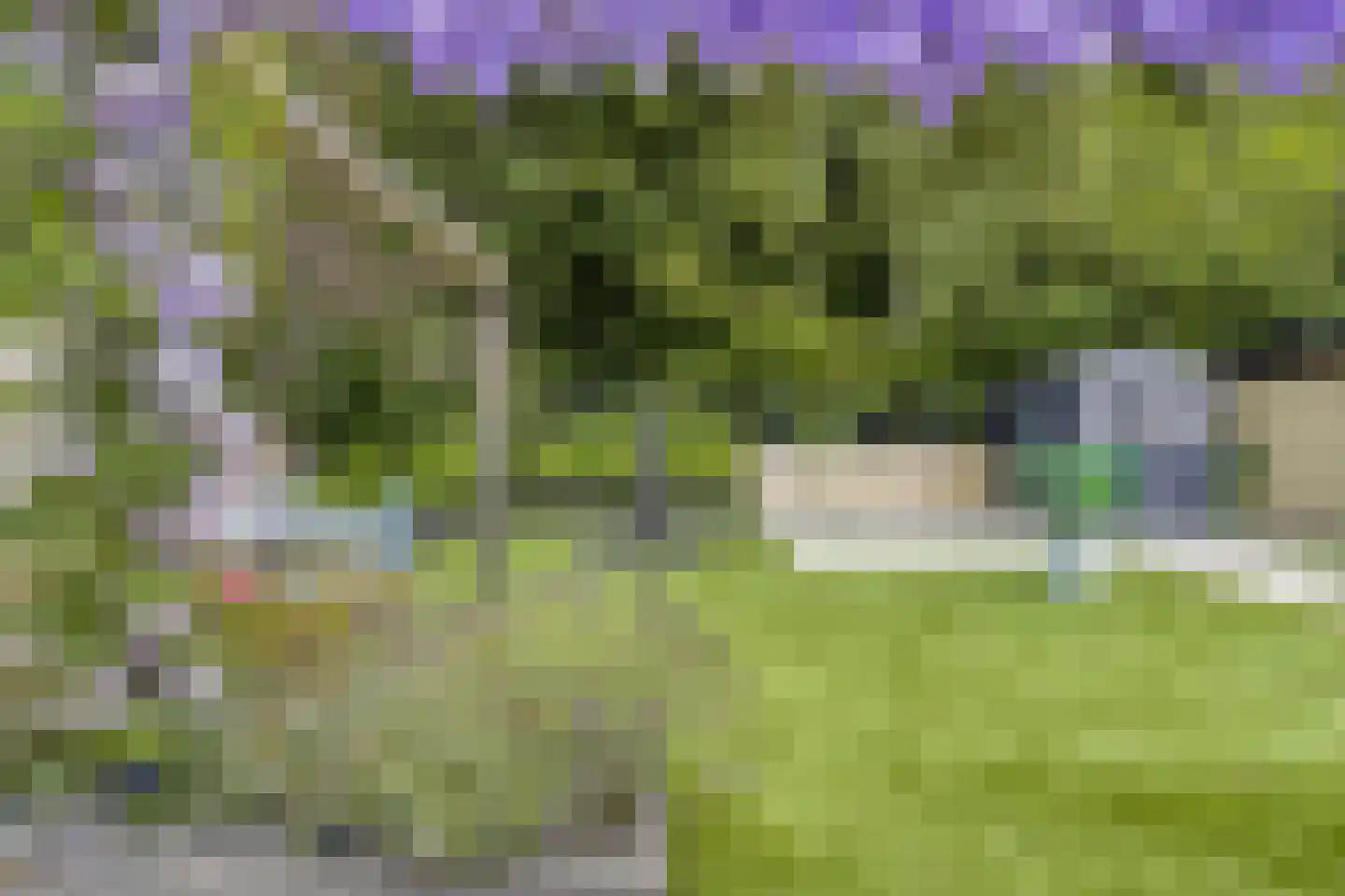 Havikskruid 46 Kampen thumbnail 25