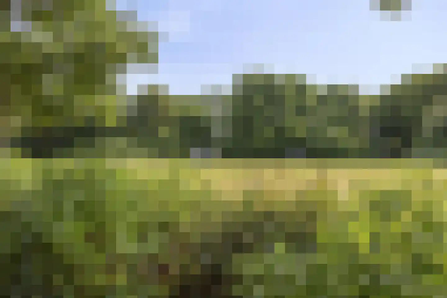 Havikskruid 46 Kampen thumbnail 30