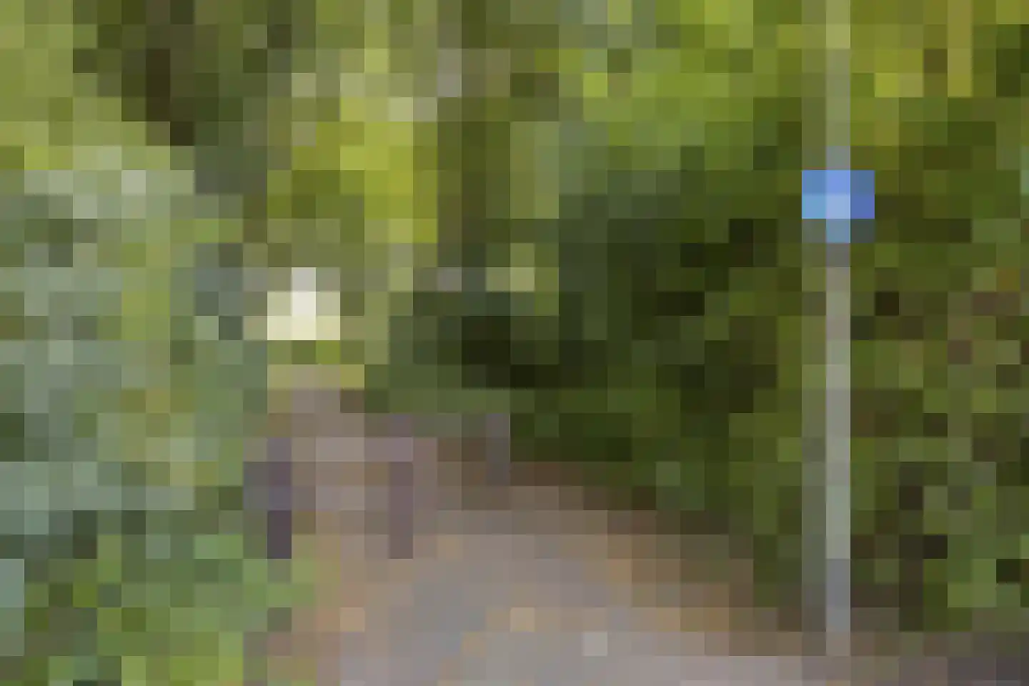 Havikskruid 46 Kampen thumbnail 31