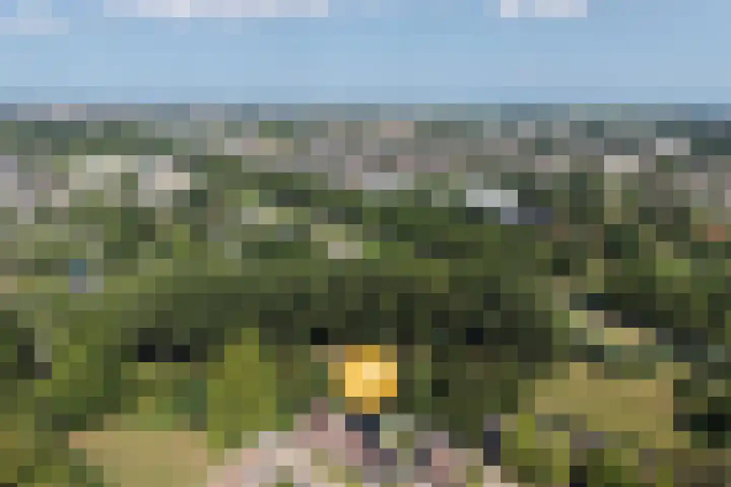 Havikskruid 46 Kampen thumbnail 32
