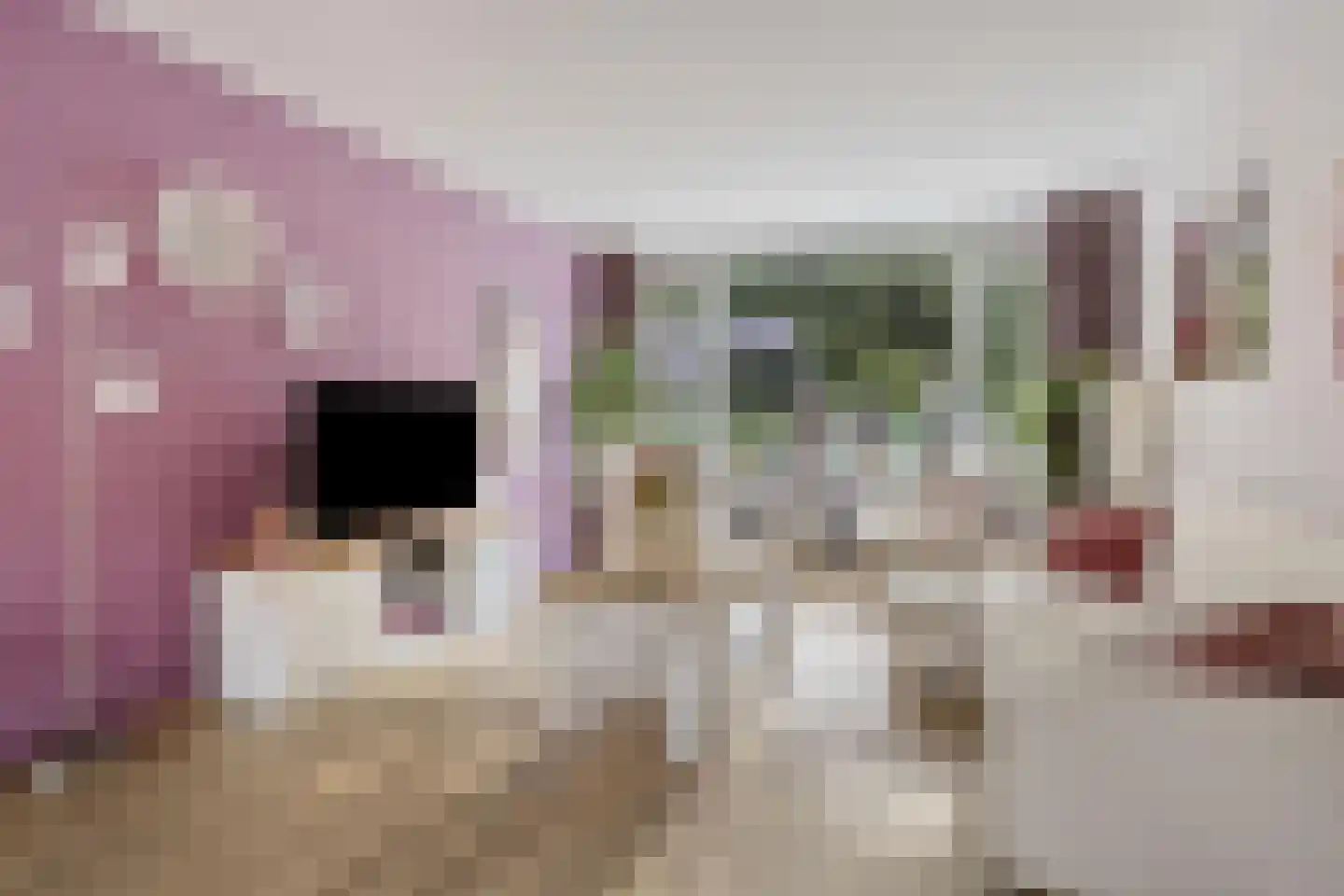 Havikskruid 46 Kampen thumbnail 4