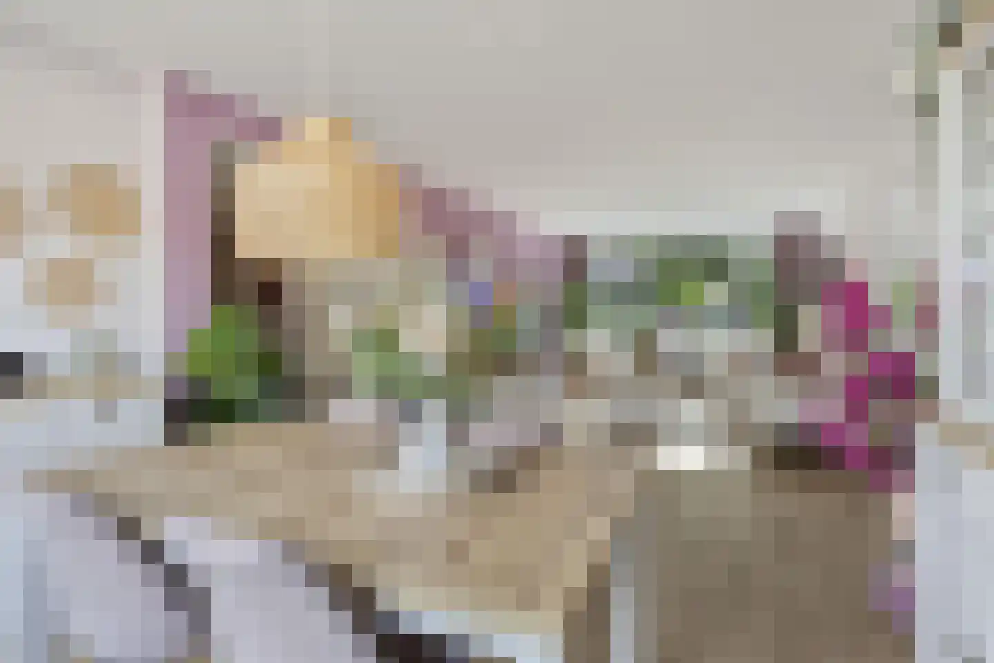 Havikskruid 46 Kampen thumbnail 7