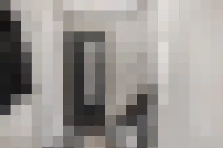 Havikskruid 5 Elsloo thumbnail 11