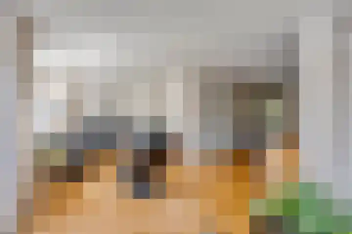 Havikskruid 5 Elsloo thumbnail 12
