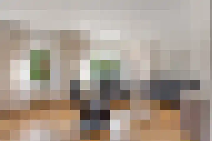 Havikskruid 5 Elsloo thumbnail 13