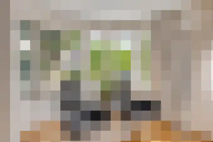 Havikskruid 5 Elsloo thumbnail 15