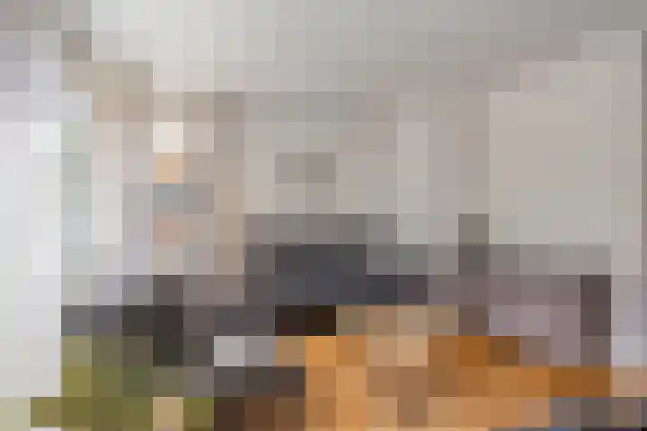 Havikskruid 5 Elsloo thumbnail 16