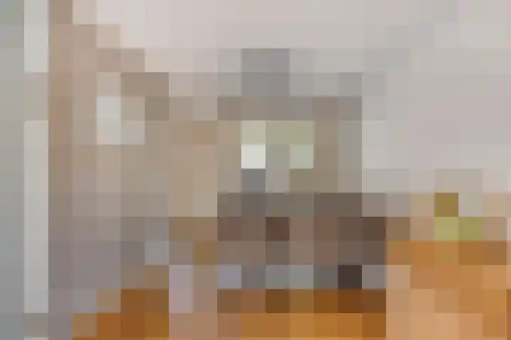 Havikskruid 5 Elsloo thumbnail 17