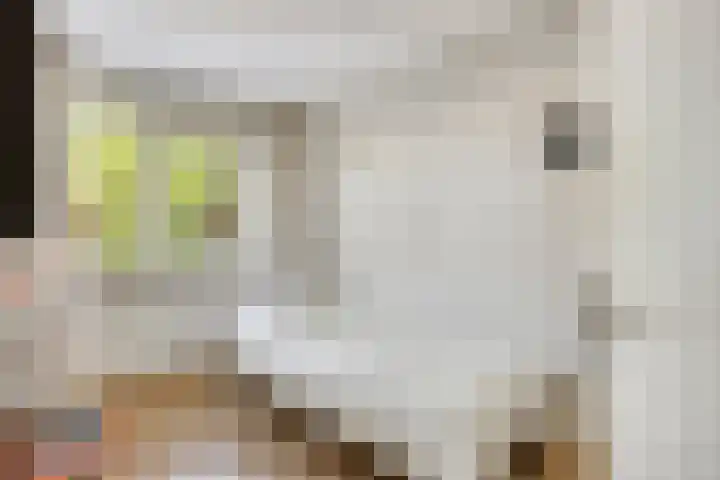Havikskruid 5 Elsloo thumbnail 25