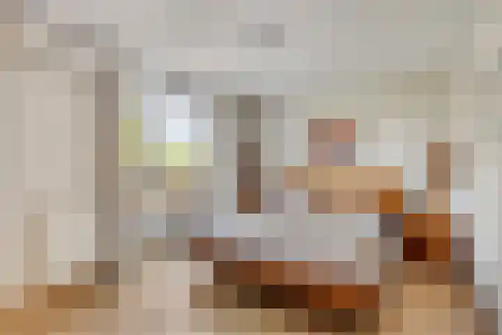 Havikskruid 5 Elsloo thumbnail 26