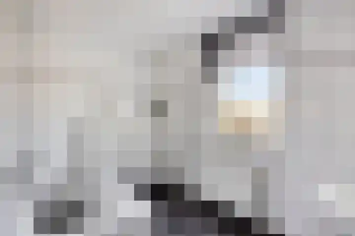 Havikskruid 5 Elsloo thumbnail 30