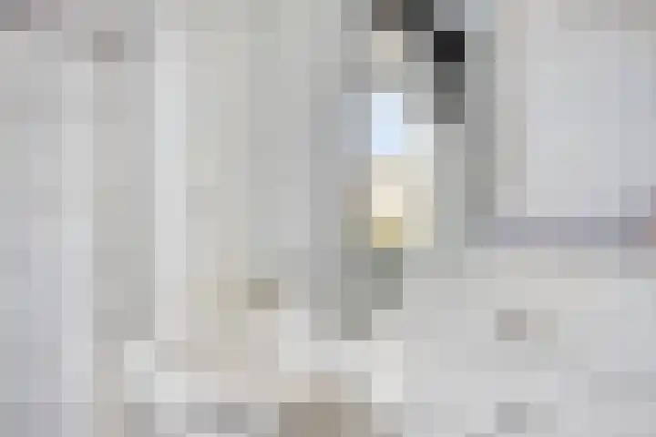 Havikskruid 5 Elsloo thumbnail 32