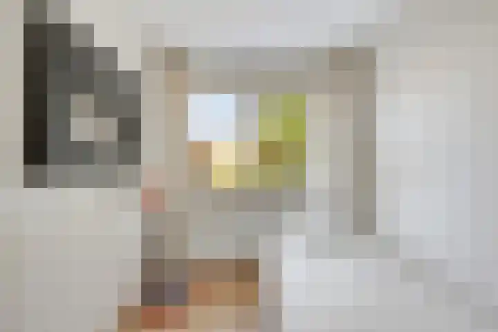 Havikskruid 5 Elsloo thumbnail 34