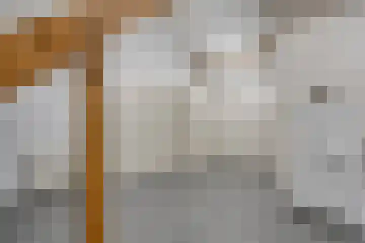 Havikskruid 5 Elsloo thumbnail 35