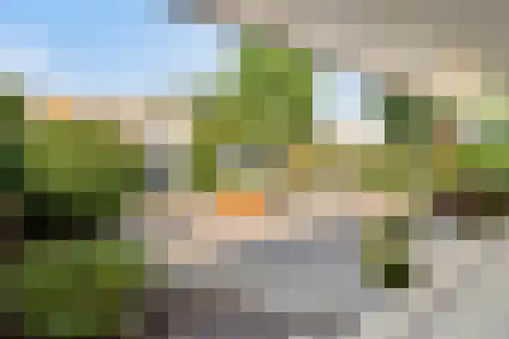 Havikskruid 5 Elsloo thumbnail 39