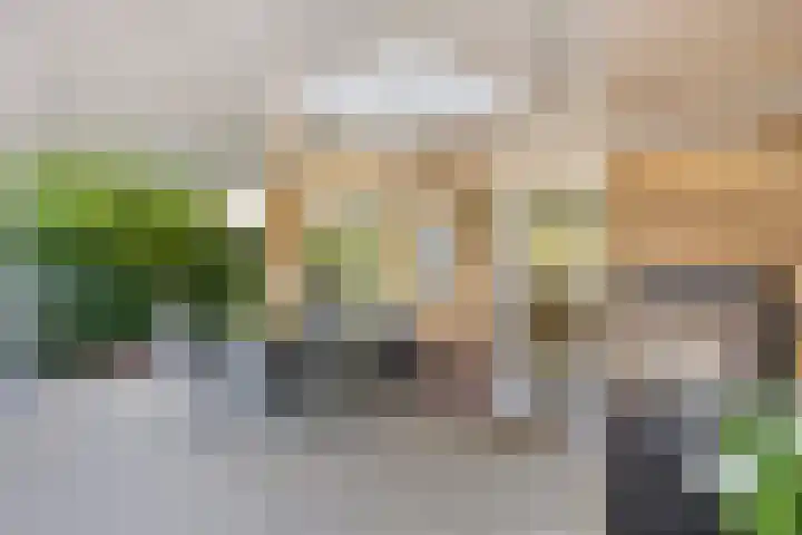 Havikskruid 5 Elsloo thumbnail 40