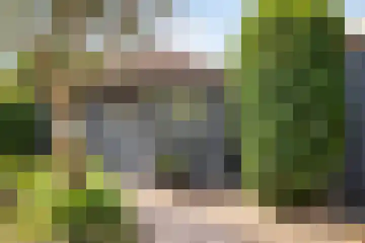 Havikskruid 5 Elsloo thumbnail 42