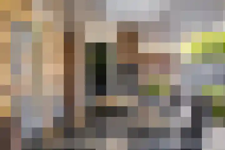 Havikskruid 5 Elsloo thumbnail 43