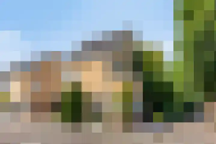 Havikskruid 5 Elsloo thumbnail 55